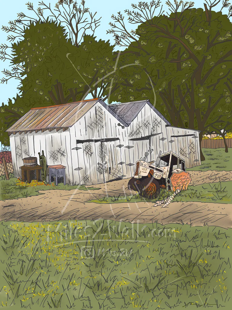 Chicken Ranch